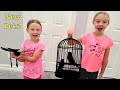 Trinity and Madison Get New Pets!!!