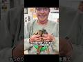 巣から落ちたリスの赤ちゃんたちを保護して育てた結果…🥺🐿️#リス#保護動物#動物救助