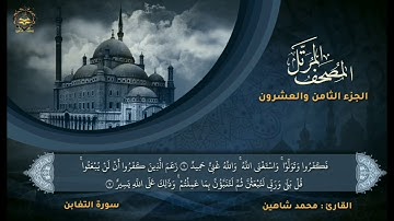 سورة التغابن للقارئ محمد شاهين