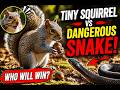 Tiny Lives in Nature , The life of a squirrel from infancy to adulthood.