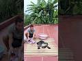 Trẻ con trong làng bị cá sấu khổng lồ ăn thịt hết rồi #funny #shortvideo #challenge