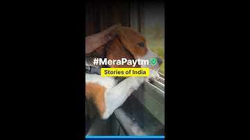 Paytm Stories: Why Paytm is Our Users Go-To App for Every Payment | Paytm Karo | #paytm #paytmupi