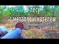 В лесу с металлоискателем.