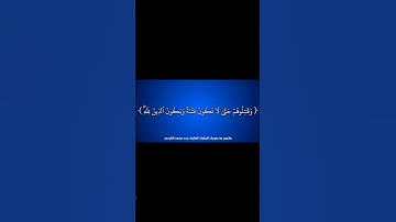 #القرآن_الكريم #الفرقان #سورة_البقرة #رعد_الكردي #قرآن #القران_الكريم #quran #قران_كريم #قران