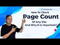 How to Extract Links & Count All Pages on Your Website [WebPage Counter]