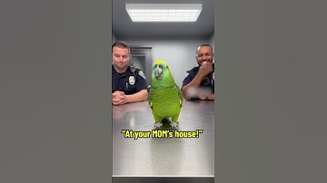 Parrot keerde de rollen om tegen de politie