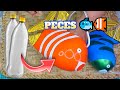 Maceteros de PECES 🐟🐠 con BOTELLAS PLÁSTICAS de REFRESCO  RECICLAJE ♻️
