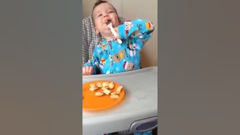 The Augie Table Manners Training Video