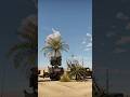 CLAWS Air Defence System Intercepts Incoming F/A-18C Jet.