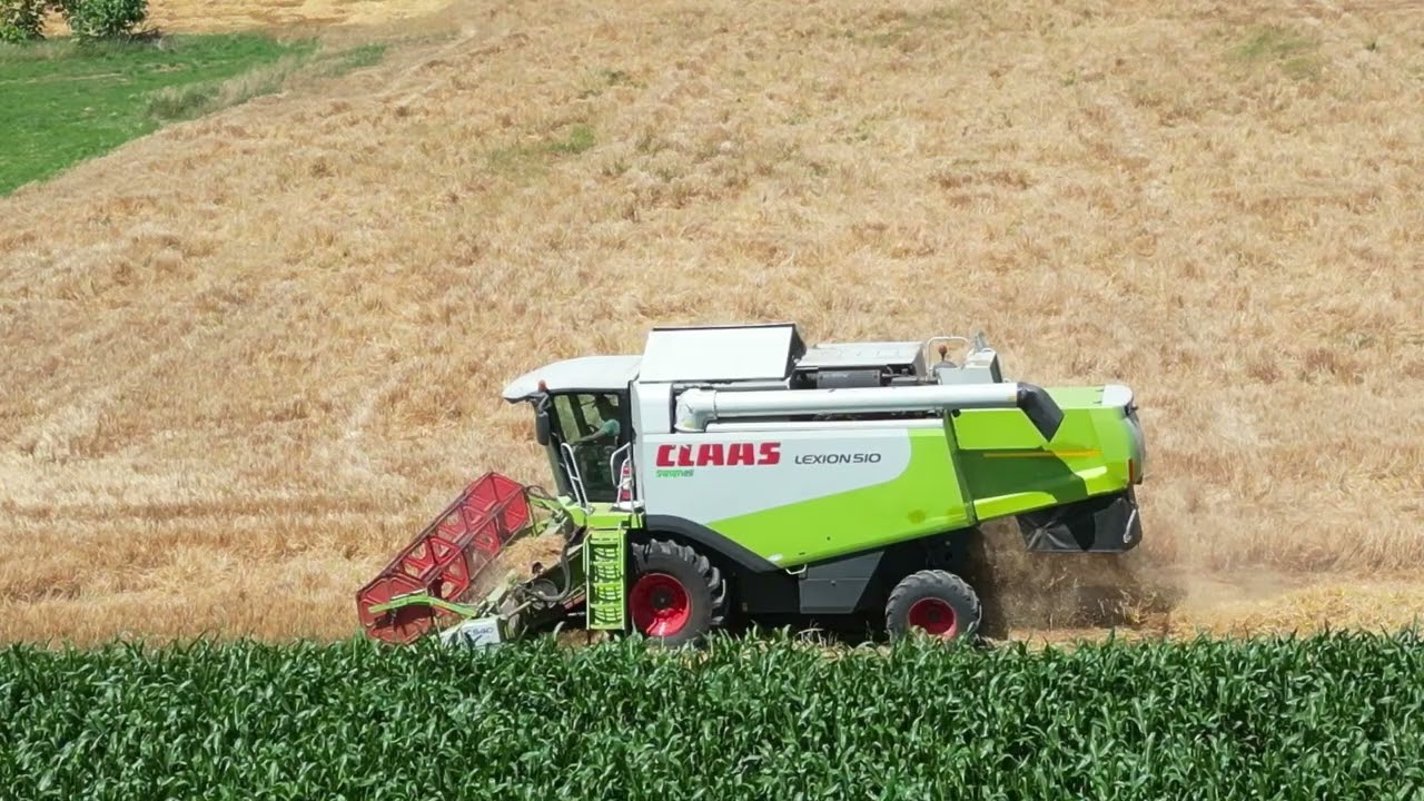 Pierwsze żniwa Nowego Nabytku GR Pieczka W Gospodarstwie Stalmach