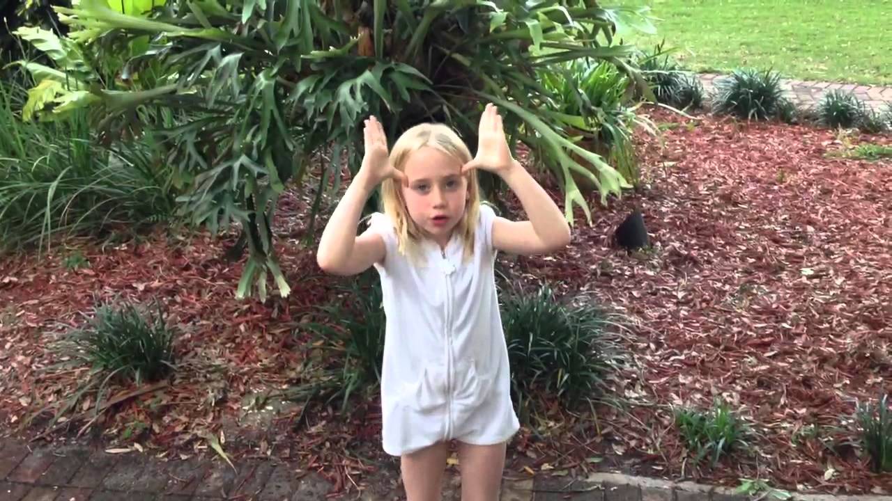 Moose Alpaca moose moose alpaca