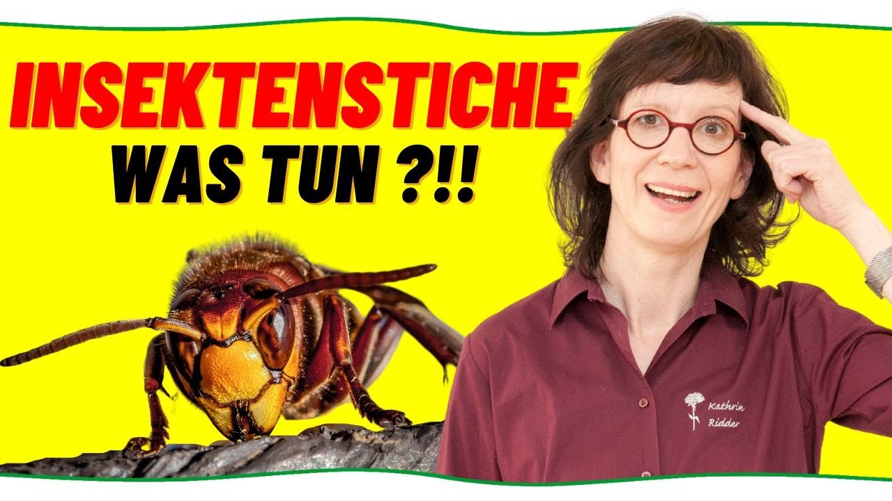 Natürliche Behandlung von Insektenstichen