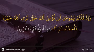 سوره بقره آیه 55