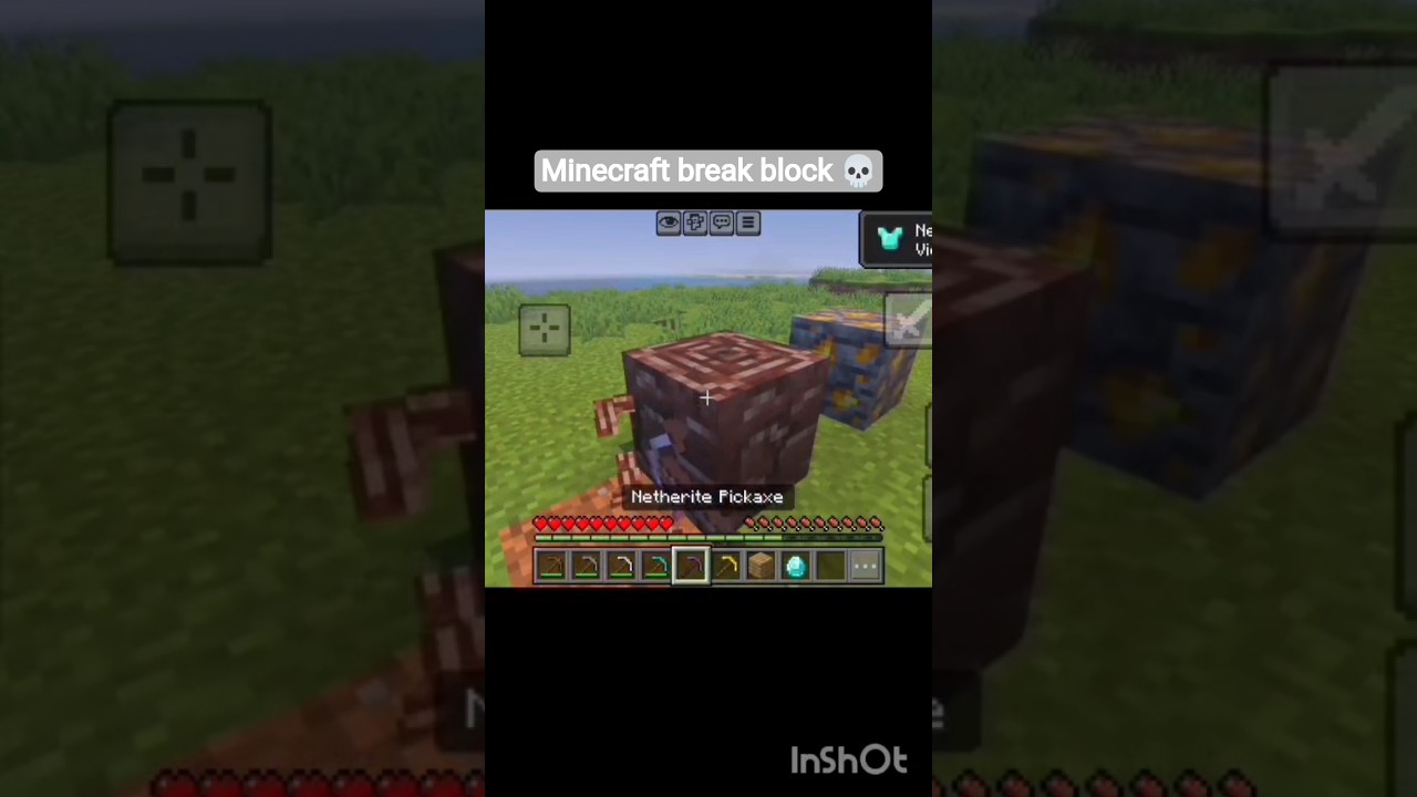 Minecraft blog break peacock 