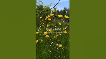 قران كريم ارح قلبك وسمعك #قران_في_دقيقة #quran #سعد_الغامدي #قرآن @قران_في_دقيقة