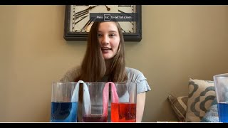 Capillary Action Experiment with Ellie!