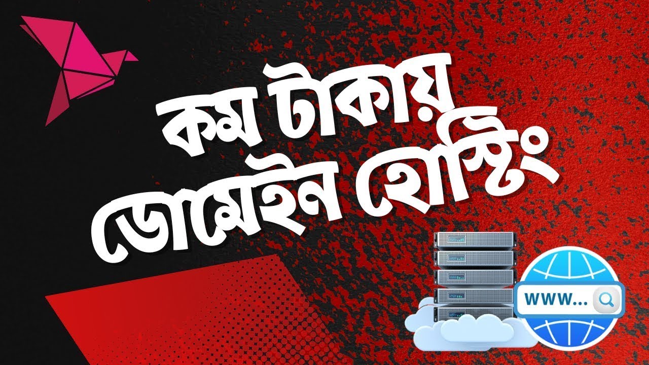 বিকাশ দিয়ে কম টাকায় ডোমেইন হোস্টিং   Buy cheap rate domain and hosting using Bkash