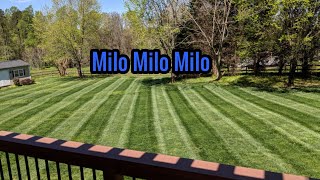 Milorganite Before and After 5 week test