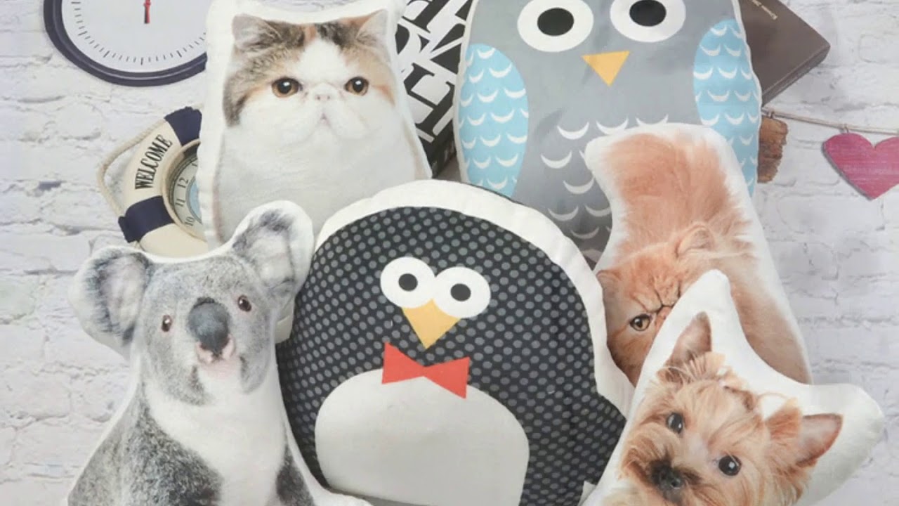 PetsDZign Personalized Pet Pillows