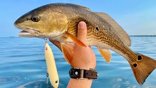 How To Consistently Catch Redfish In The Summer