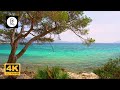 Paradise Beach 4K - Nature Film w/ Shoreline Ocean Waves Water Sounds for Relaxing, Study, Spa