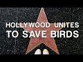 Hollywood Stars Unite to Save Birds: A Powerful Ode to Nature