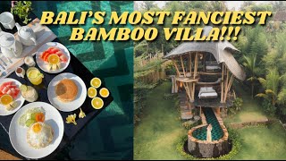 Is this the best bamboo house in Bali? 🇮🇩 - VELUVANA Cobra House Tour $200