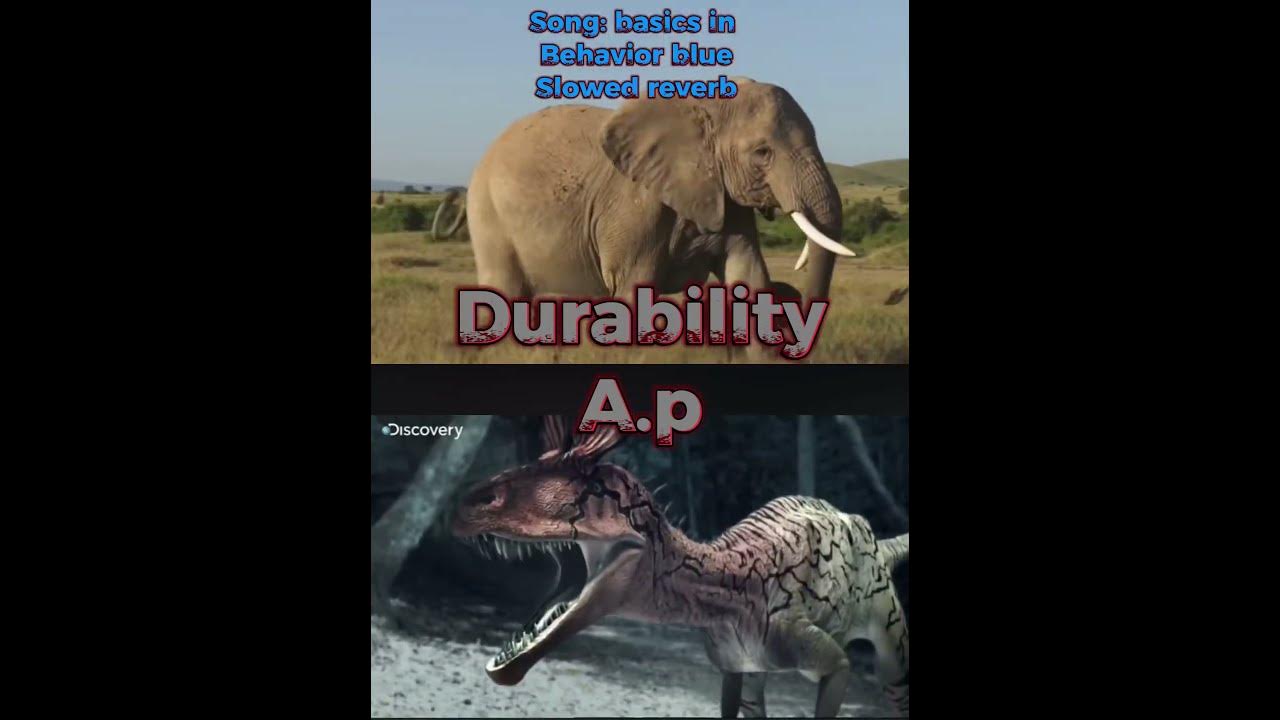 Herbivores Vs Carnivores Part 3 carnivores herbivores animals 