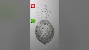 An easy method to draw lions || lion drawing easy 🦁✍️ #drawingtutorial #pencildrawing #sketch