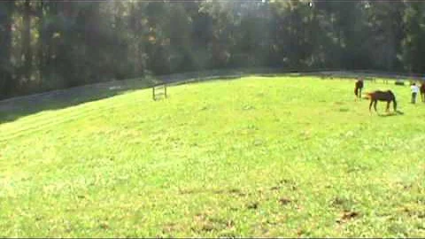 How to take a soil sample