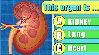 How Many Human Body Parts Can You Guess? |  Guess The Human Body Part Quiz