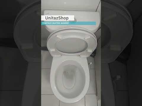 Video: Santek toilet review