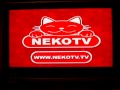 Neko tv sul dtt