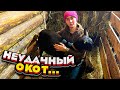 Абортирование у коз. Раздой и лечение | Молодая Ферма