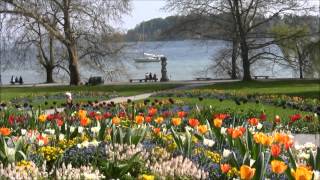 Video thumbnail of "To Spring  by Grieg"