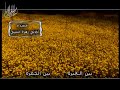 أخذتي زهرة سنيني الرادود باسم الكربلائي أخذتي زهرة سنيني الرادود باسم الكربلائي