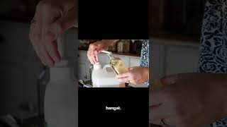 tutorial membersihkan karpet karena susu tumpah