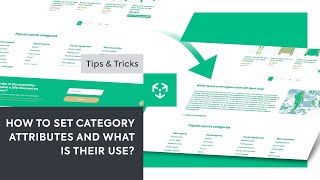 How to set category attributes and what is their use? #tipsandtricks