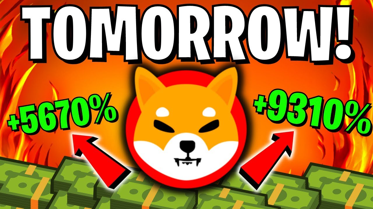 SHIBA INU COIN NEWS TODAY: SHIB WILL HAVE ANOTHER HUGE EXPLOSION TOMORROW - SHIBA PRICE PREDICTION