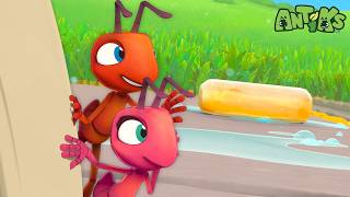 slippery drain race antiks storytime
