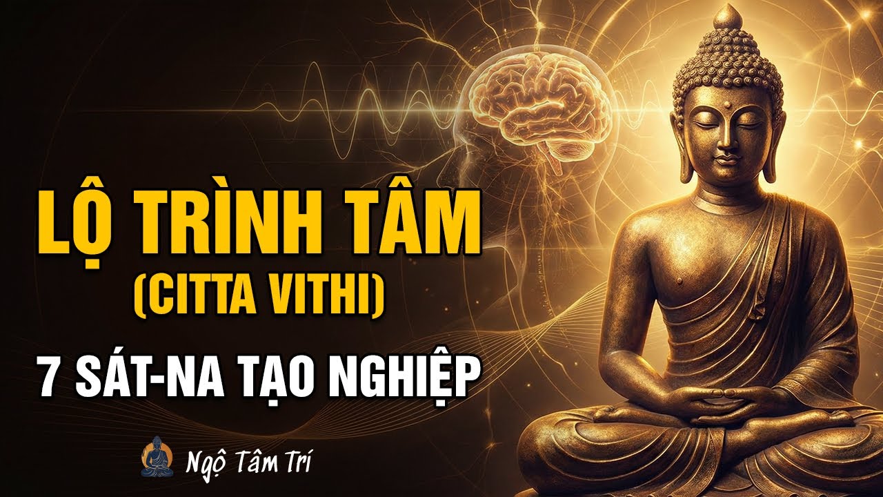 Lộ Trình TÂM (Citta Vithi): Cơ Chế Ra Quyết Định Của Não Bộ | Ngộ Tâm Trí