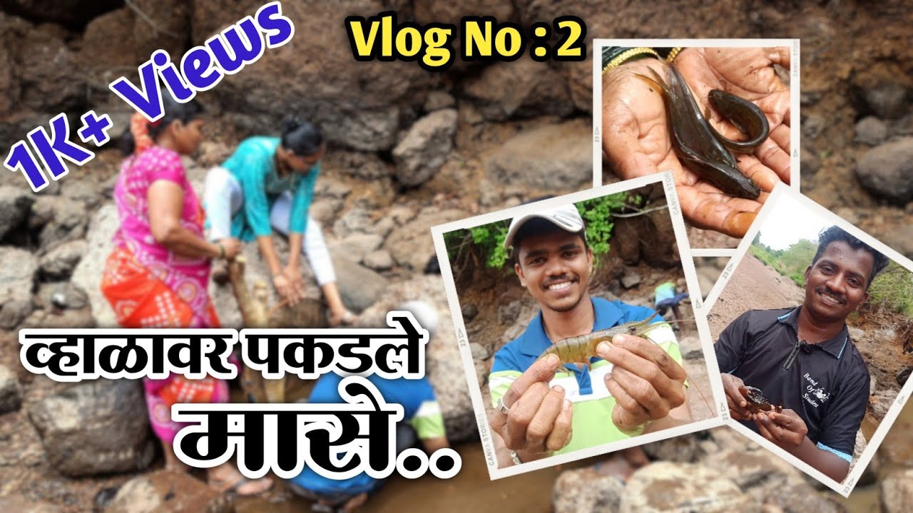 व्हाळावर पकडले मासे, खेकडे आणि कोळंबी ( चींगळा)🐟🦀🦐|बनवली चवदार स्पेशल रेसिपी 🥘🤤😃 #कोकणातीलमासेमारी