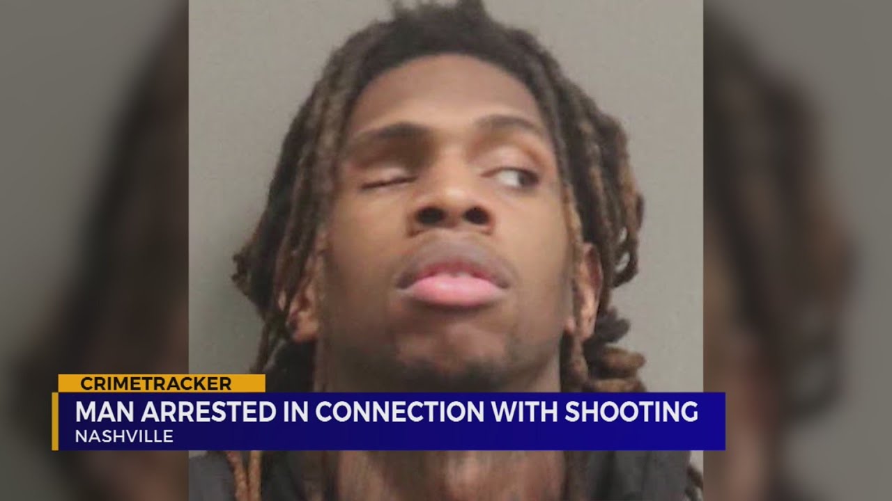 Suspects arrested while driving stolen car; drugs and modified gun found in vehicle