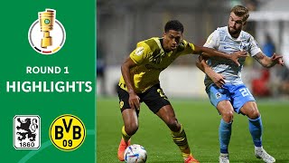 Нойштрелиц - Карлсруэ 0-8 видео