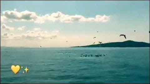 نَحْنُ أَوْلِيَاؤُكُمْ فِي الْحَيَاةِ الدُّنْيَا وَفِي الْآخِرَةِ ۖ  🎧القارئ اسلام صبحـي😍