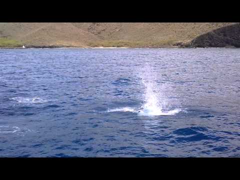 VID-20120317-00011