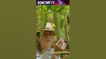 10 Incredible Facts About Speciation | KNOW iT