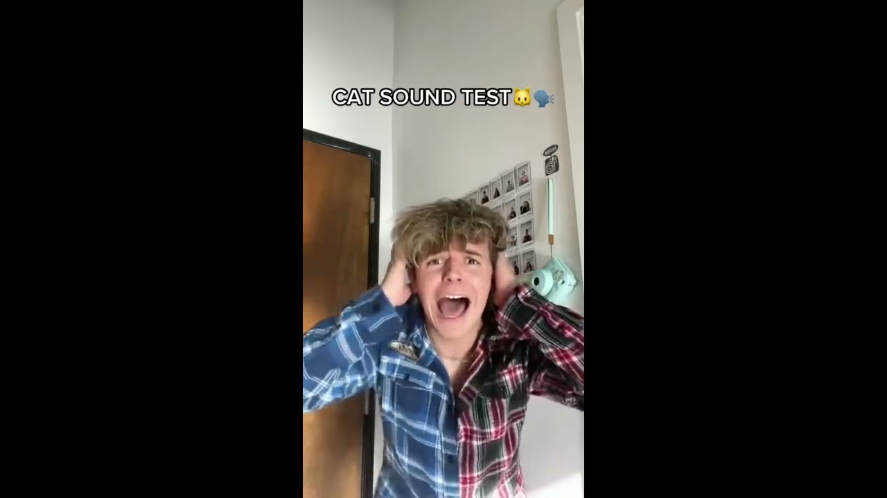 Only Cats Can Hear This Video 