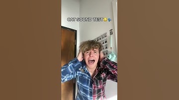 Thumbnail of Only cats can hear this video🐱👂🏼