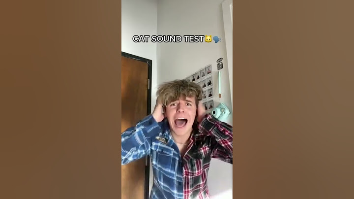 Only cats can hear this video🐱👂🏼